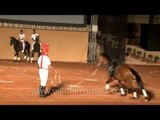 Sturdy horses and skilled horsemen of Rashtrapati Bhawan
