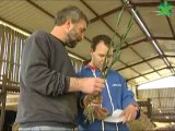 Mon métier : agent de remplacement en agriculture (Sylvain, Sandrine, Julien)