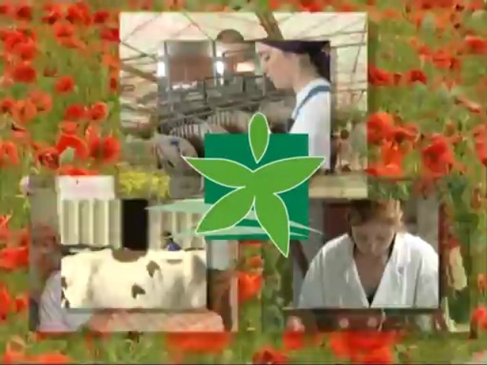 Mon métier : agent de remplacement en agriculture (Raymond, Sébastien, Rebecca)