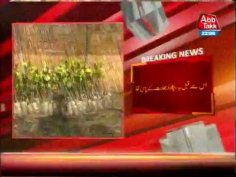 Pakistan breaks world record of planting saplings - 22 June 2013