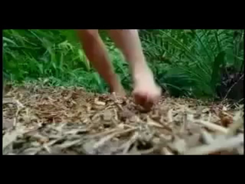 Supergator (2007) - Trailer