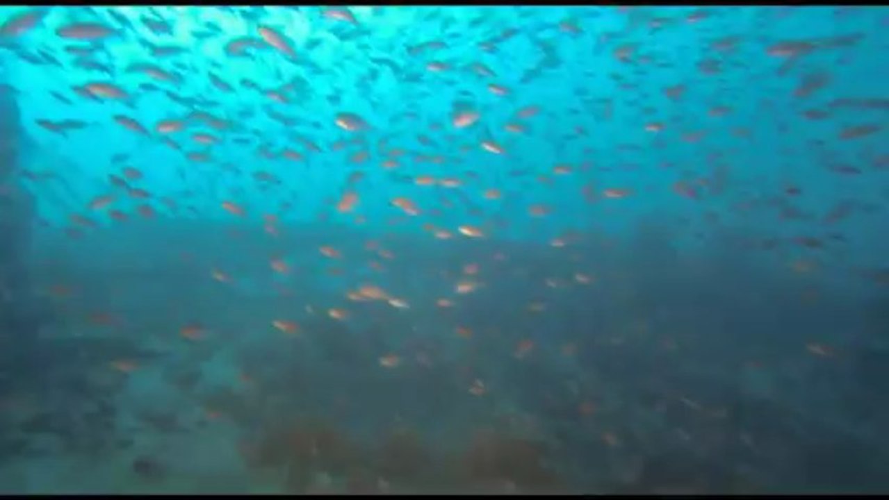 Plongée sur la Drome - 21-06-13