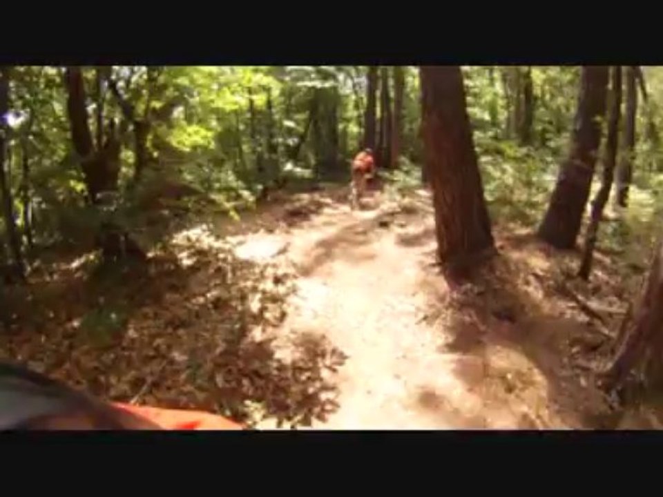 16ème rose d'Antran