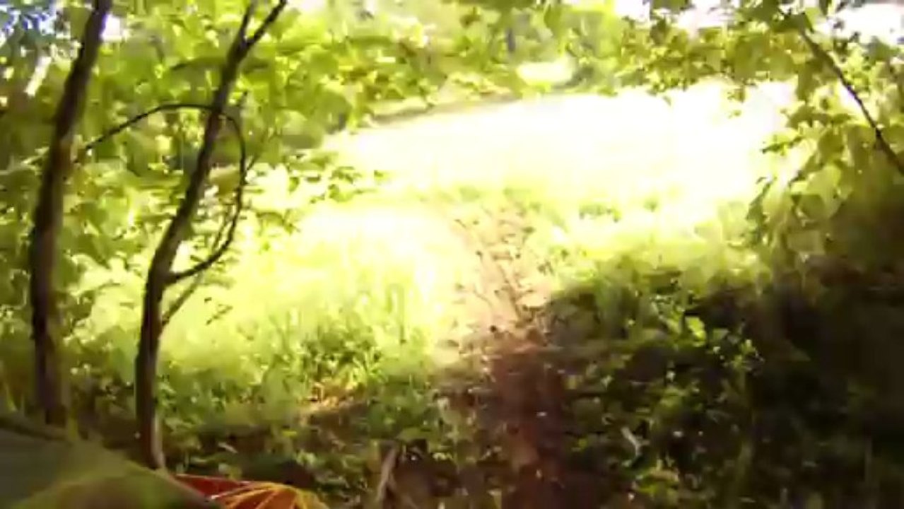 16ème rose d'Antran - passages techniques et ludiques 2/2