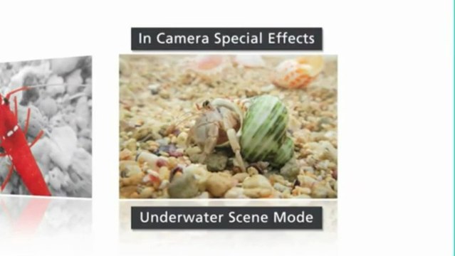 Nikon COOLPIX AW100 16 MP CMOS Waterproof Digital Camera with GPS and Full HD 1080p Video (Orange)