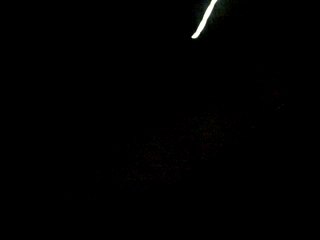 hOmmage a fOrest gump ka regardé cOcO