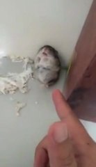 나인카지노 ★★★── JUST78．ＲＯ．ＴＯ ──★★★ 해외카지노