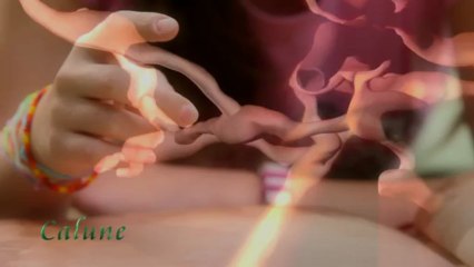 TAXONARIA - Bande annonce du film - Calune Productions