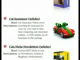 Free PLR articles: Download Private Label Rights (PLR) Articles