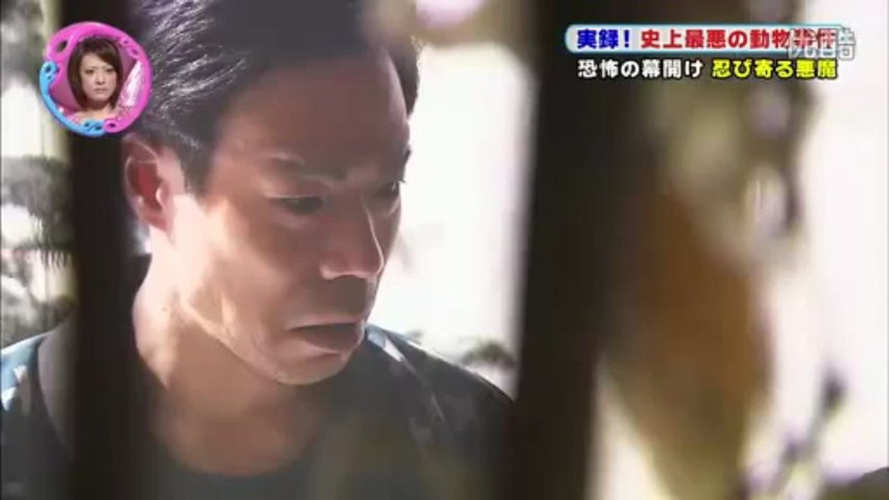 アンビリバボー 三毛別羆事件 1