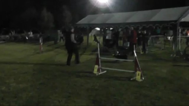 Gin GPF concours d'agility d'ingwiller 22/06/2013