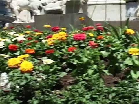 Napoli - Giardini di piazza dei Martiri fatto dall'ordine dei commercialisti (20.06.13)