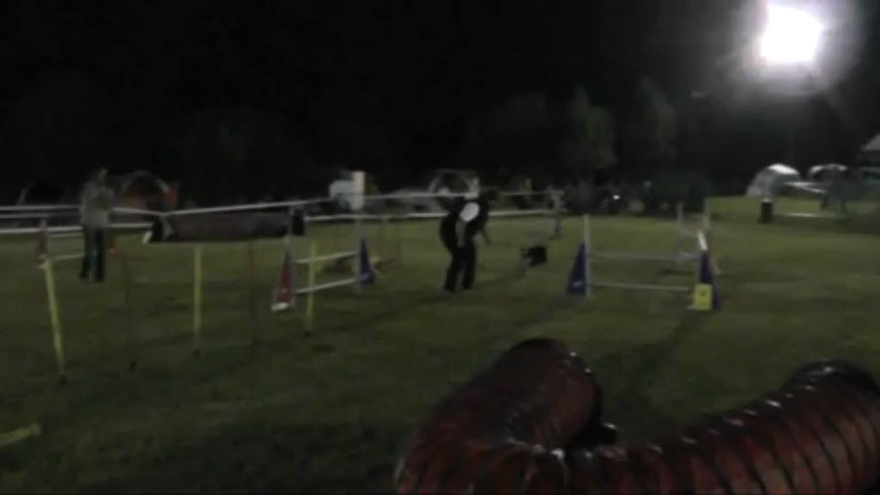 GIN jumping concours d'agility d'ingwiller 22/06/2013