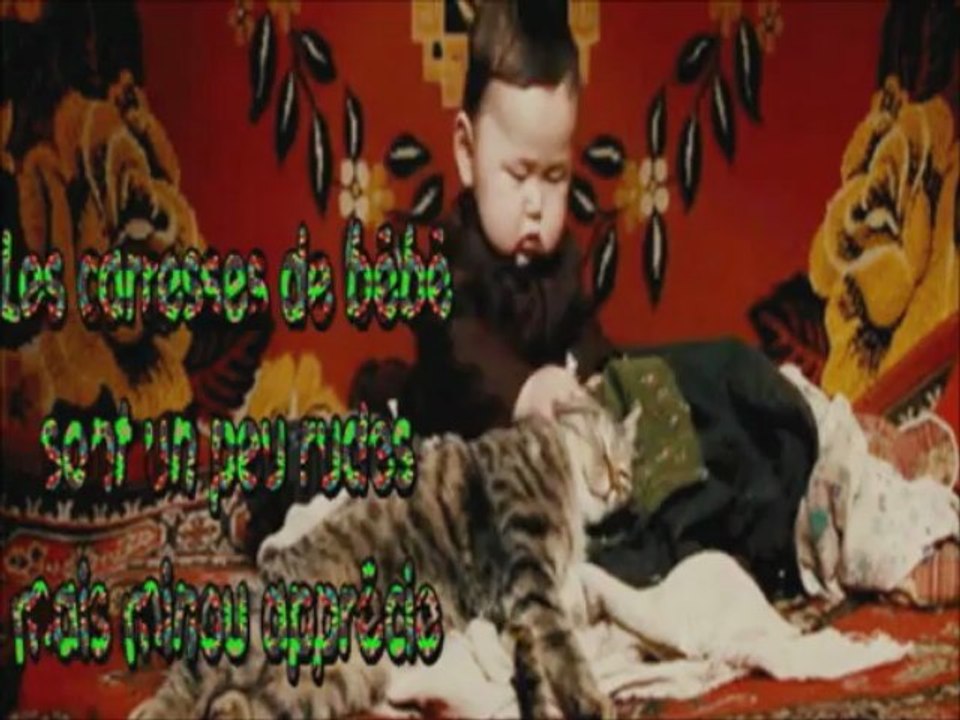 Chats alors...(musique Pour que tu m'aimes encore..C.Dion à la guitare)