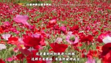 全能神教会《对被成全之人的应许》