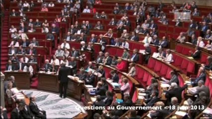 Seybah Dagoma - QAG - Exception culturelle - 18 juin 2013