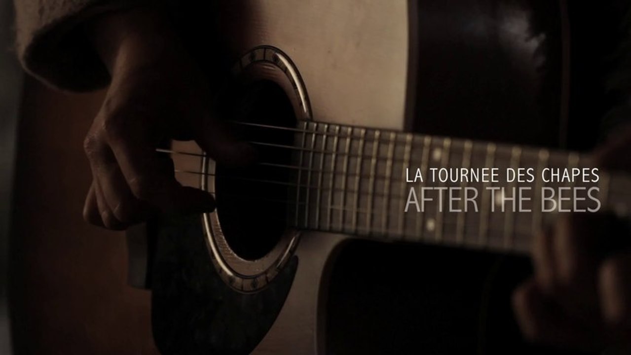 After The Bees / Winter Days