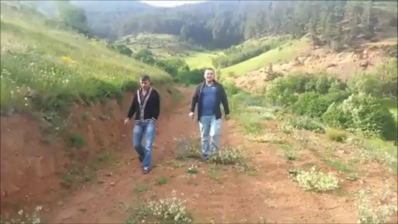 mahalletanitim