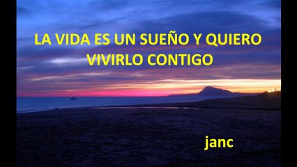 la vida es un sueño de j.a.