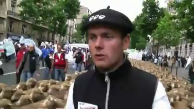 Des milliers d'éleveurs défilent à Paris pour défendre leur métier