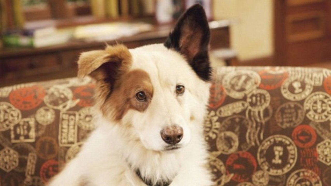 Dog With a Blog Season 1 Episode 14 - Crimes of the Art