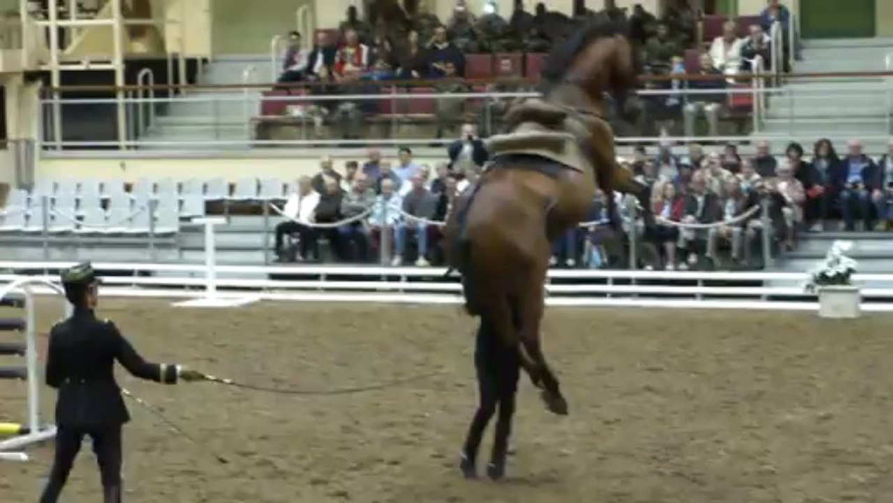 13 juin 2013 - Cadre noir de Saumur