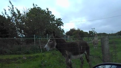Ula l'arrivée au champs