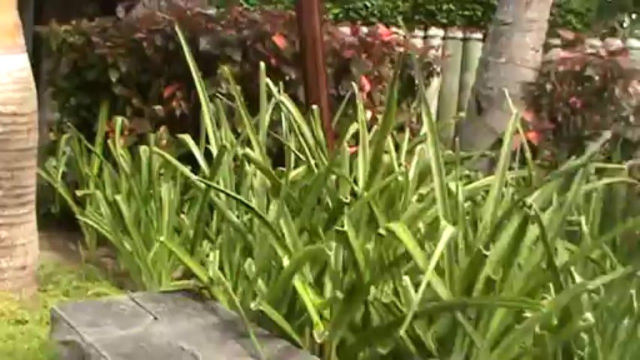 Mauritius Hotel LUX Belle Mare Belle Mare D'Eau Douce Osten Mauritius