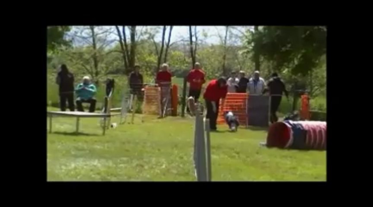 Flipper Concours Classique 2013