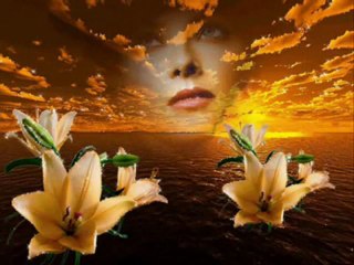 Amo Em Silêncio ~ Roupa Nova