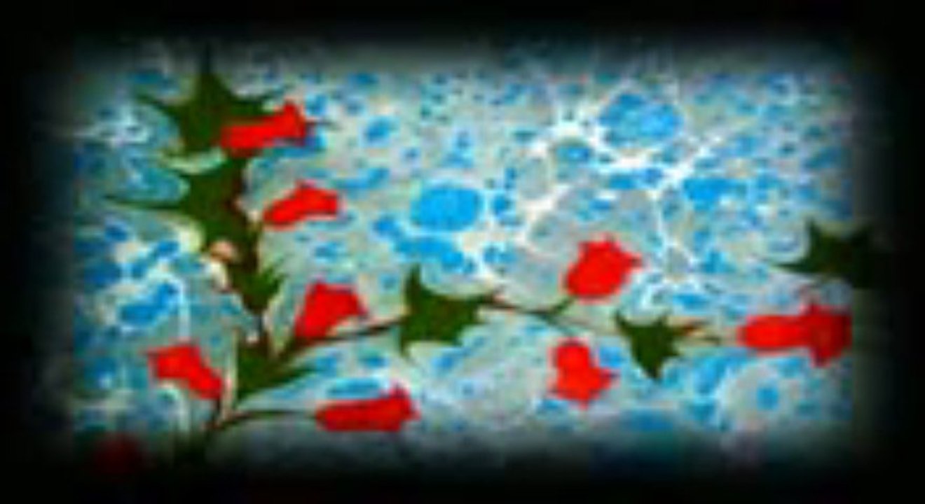 SESLİ-KANAL.COM KANDİLİNİZ MÜBAREK OLSUN SESLİKANAL