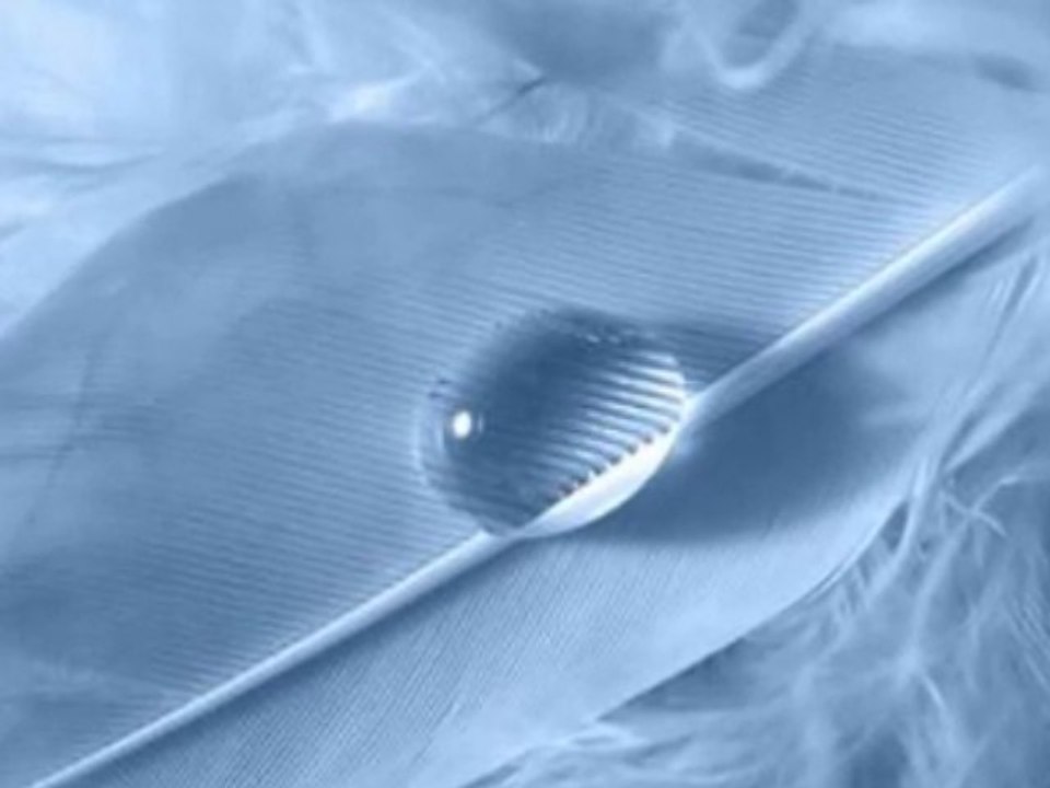 Una furtiva lagrima Ramon Vargas