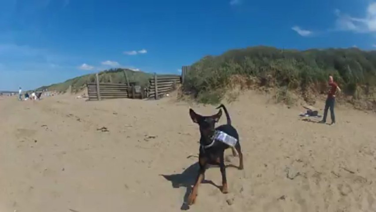 ernie beach final edit
