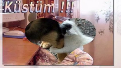 BANA NE...DURAK YİĞİT.... VİDEOSU