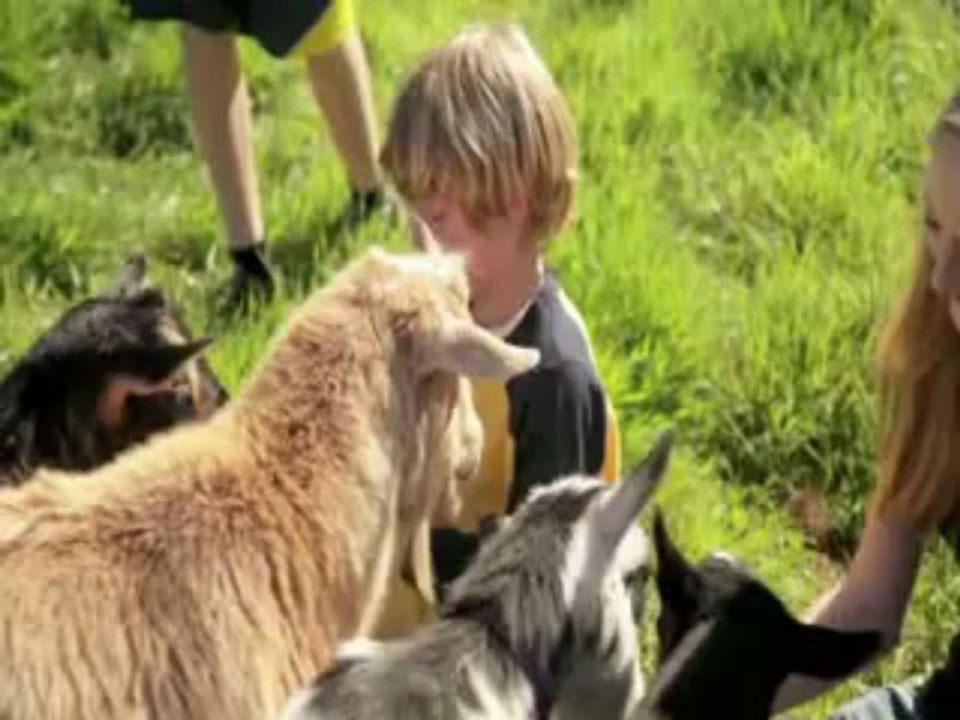 Hyundai Santa Fe Dealer renton, WA | Hyundai Santa Fe Dealership renton, WA