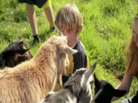 Hyundai Santa Fe Dealer everett, WA | Hyundai Santa Fe Dealership everett, WA