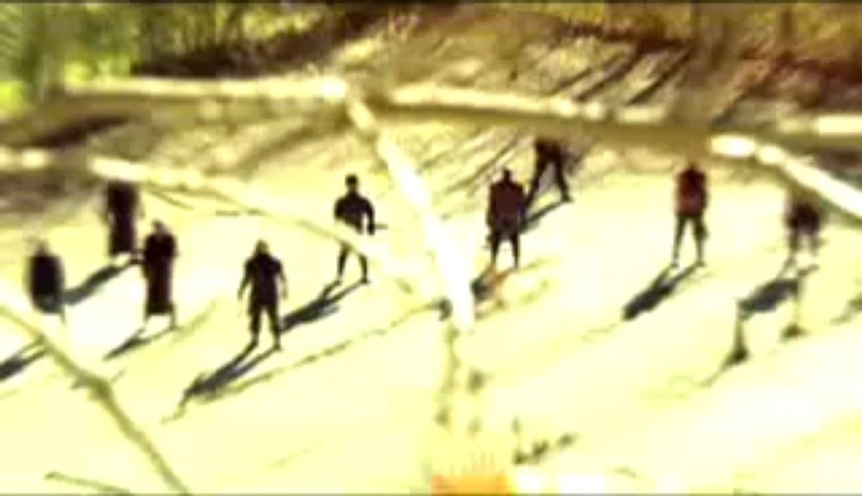 Tooth and Nail (2007) Trailer