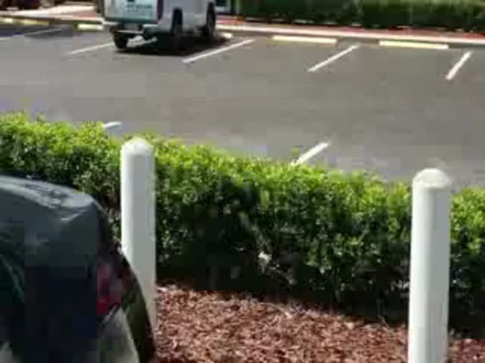 2013 Chevrolet Volt Dealership St Pete, FL | Chevrolet Volt Dealer St Pete, FL