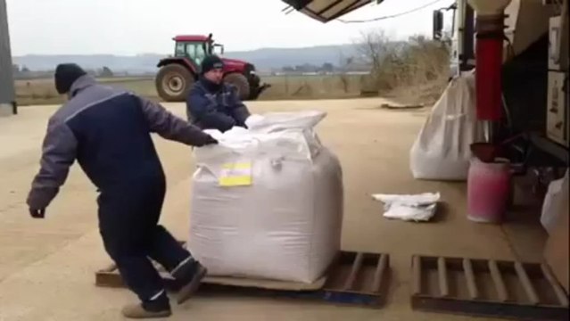 Mobile Seed Processing of Farm Saved Seed by Evans and Pearce