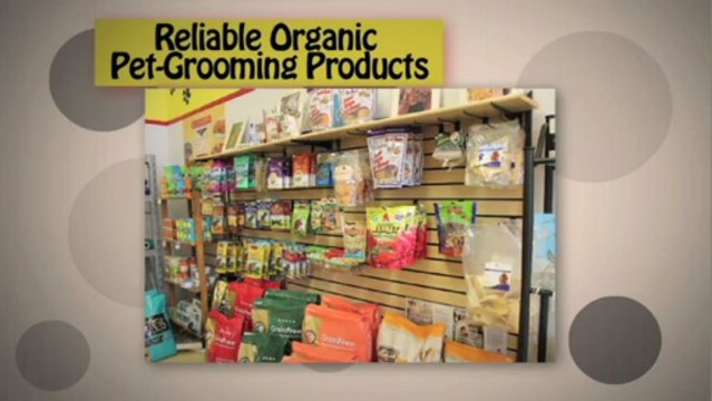 Dog Grooming Peachtree City | Wags to Whiskers Boutique & Barkery Call (404) 490-4064