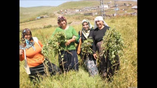 SALİM DEMİR YAYINLARI