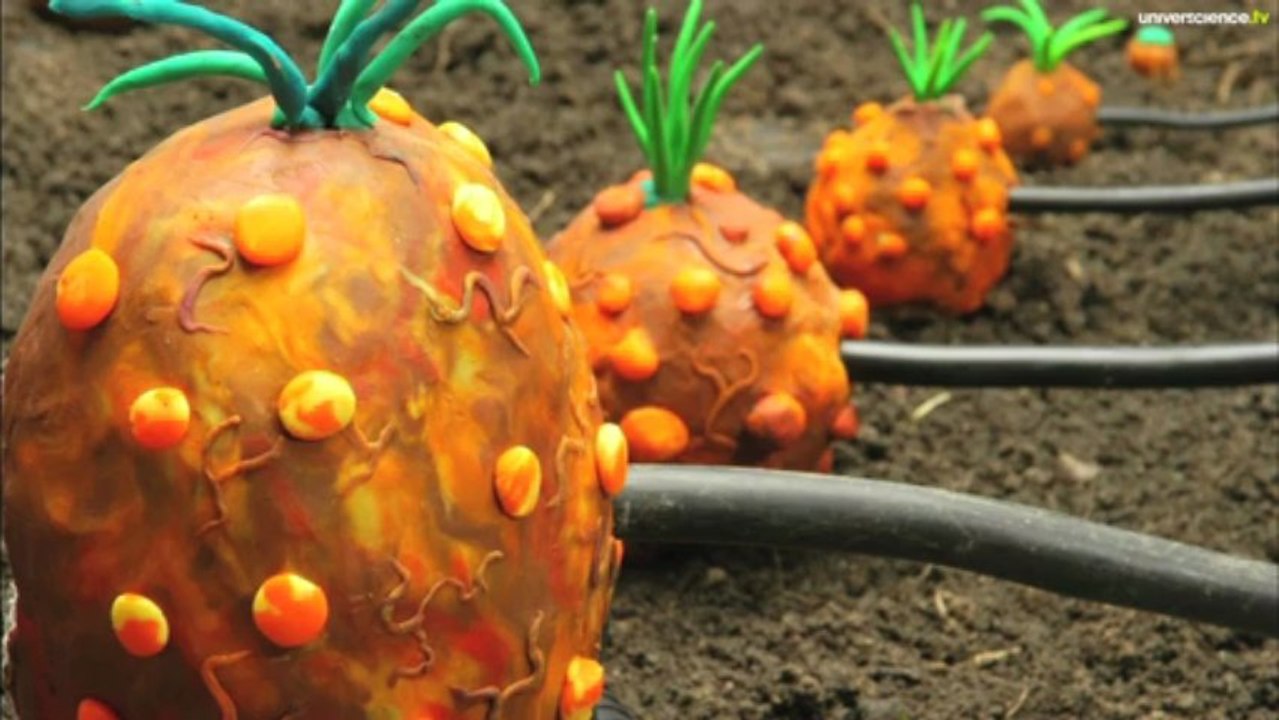 Sans forêts #4 : déforestation et industrie