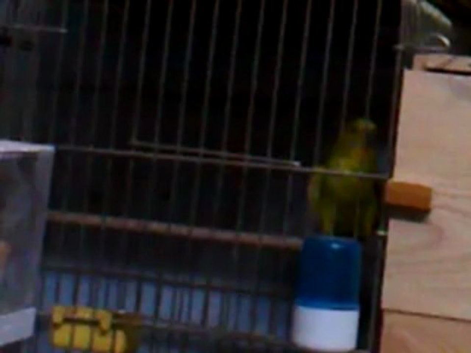 Video0106