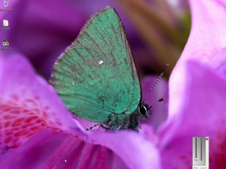 How to Install Turbo C