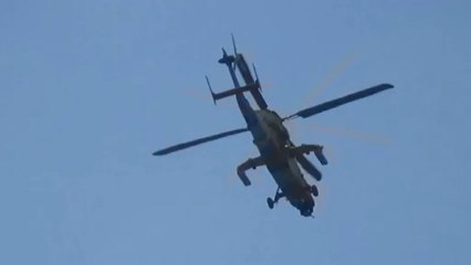 Bourget 2013 -Démonstration des tigres - premier jour