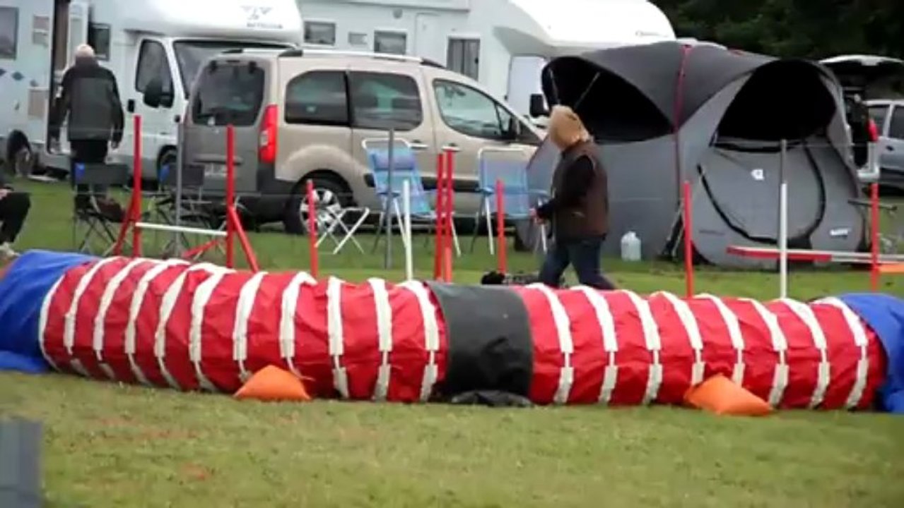Concours d'agility saint pierre de mons 23 06 2013  Bianca