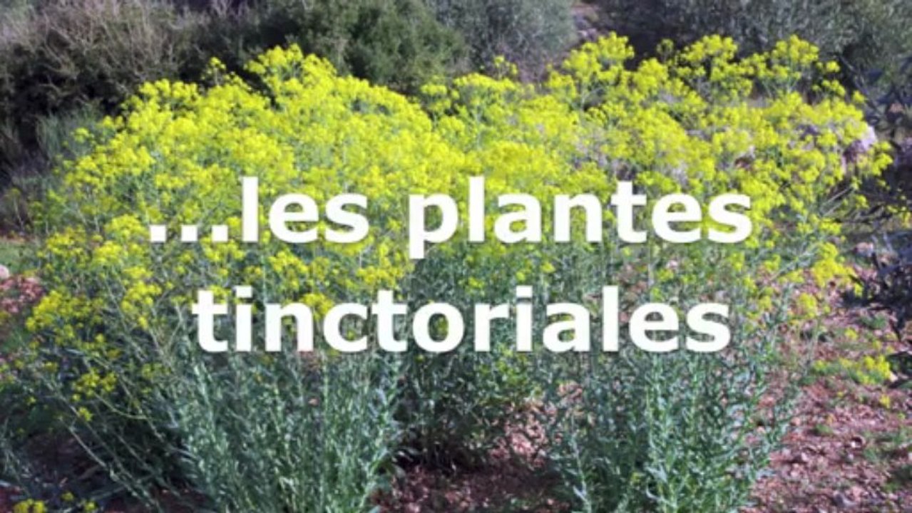 UnProjetPour