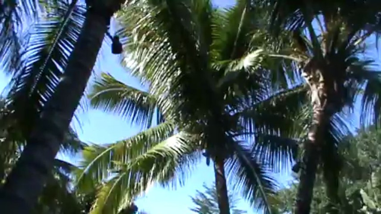 Mauritius Hotel LUX Grand Gaube Grand Gaube Pereybere Norden Mauritius