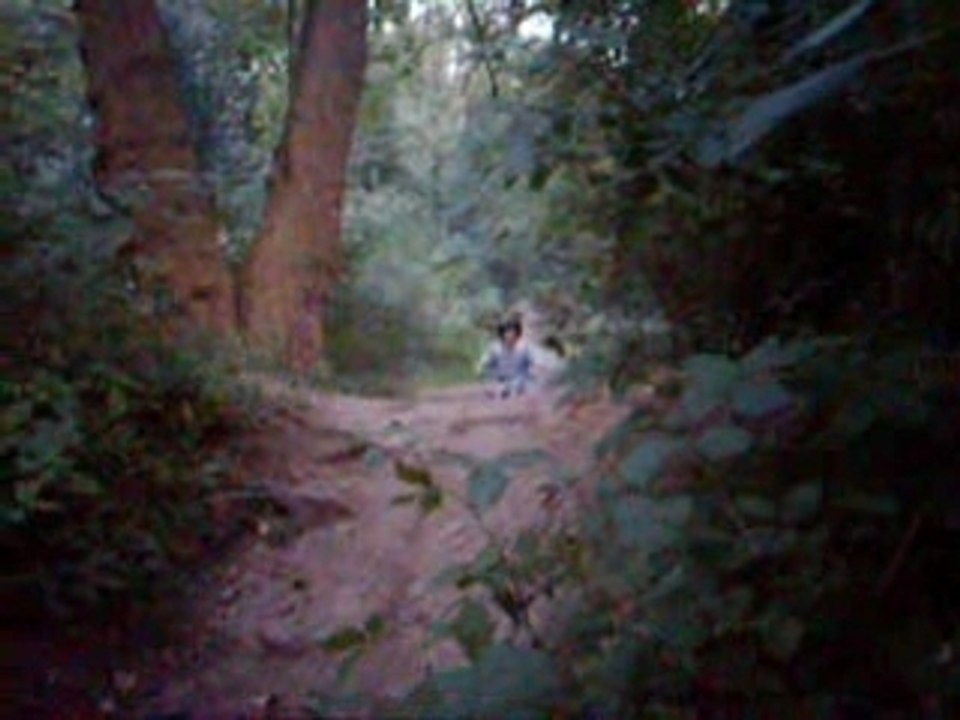 moto dirt bike + délire