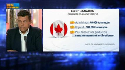 Xavier Beulin, président de la FNSEA dans Le Grand Journal - 21 juin 2/4